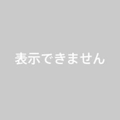 BABY IN CARマグネットステッカー パタゴニア ベイビーベビーインカー