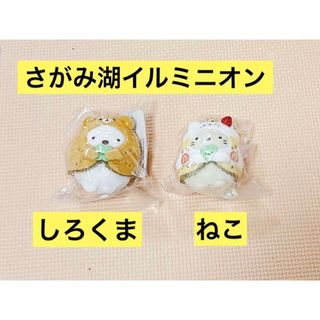 限定品⭐️しろくま ねこ すみっコぐらし さがみ湖　MORIMORI イルミリオン